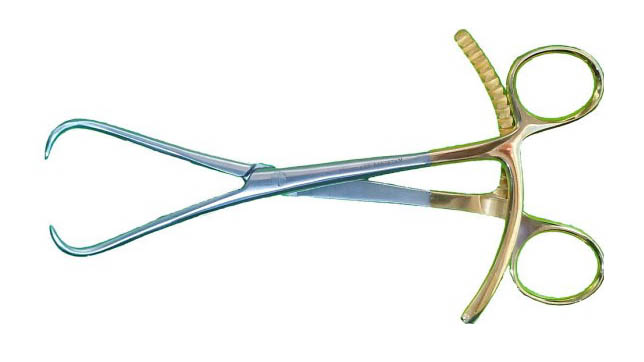 Кісткова цапка велика