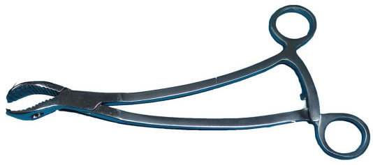 Кісткотримач Берна