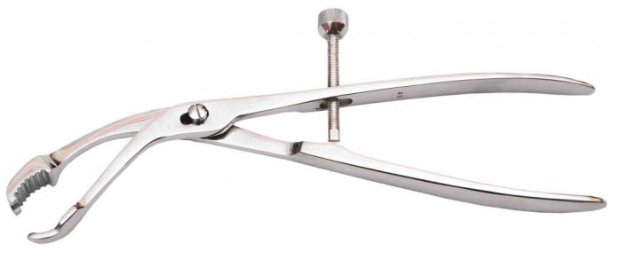 Костотримач великий