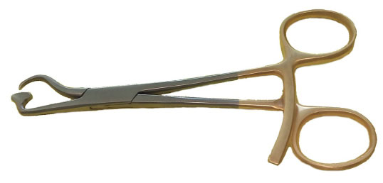 Кісткотримач пластинчастий