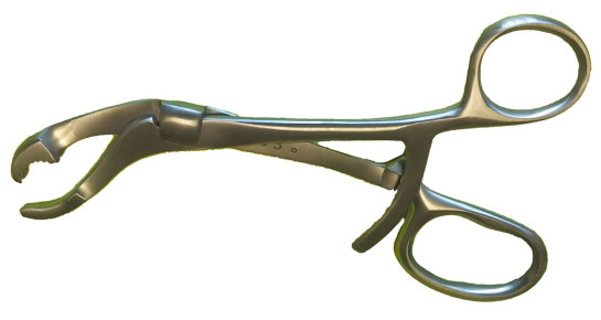 Кісткотримач