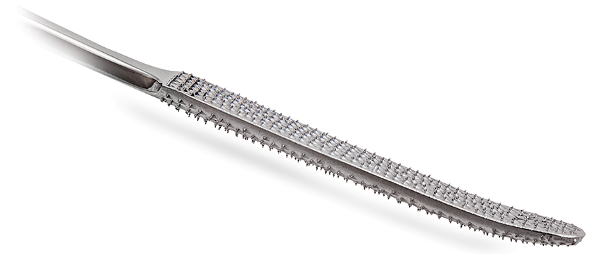 Робоча частина рашпіля